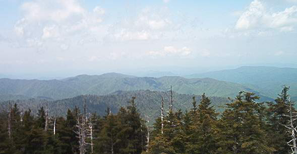 Photography by Larah McElroy for DesignCrowd (Community Contests) | Design #9074420