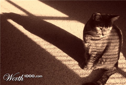 Photography by tlovesd