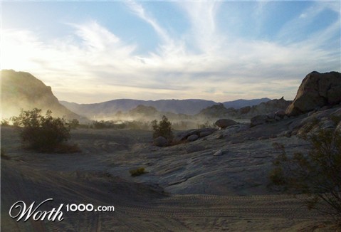 Photography by tlovesd