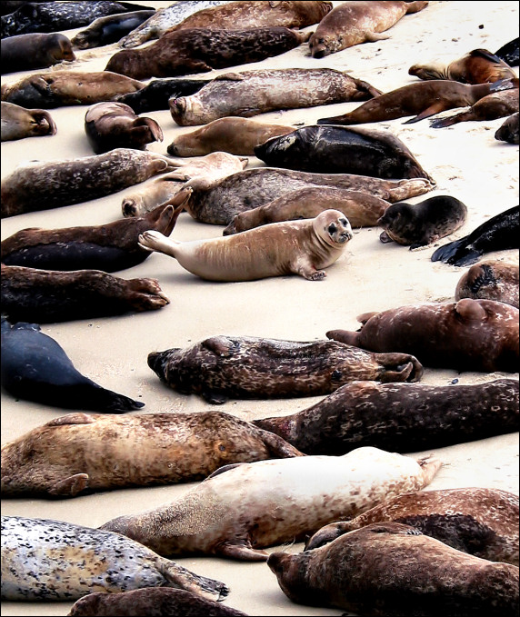 Photography by koalachimbo for DesignCrowd (Community Contests) | Design #9078790