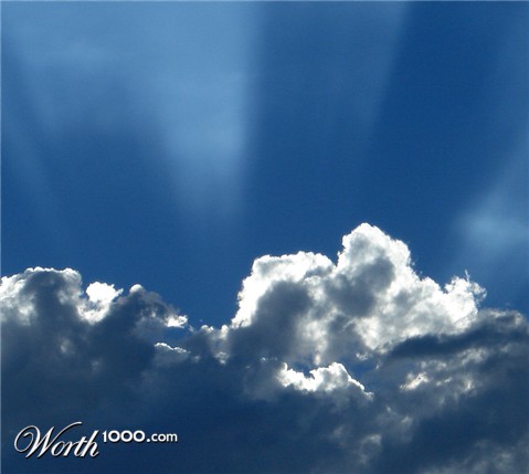 Photography by IntSeed