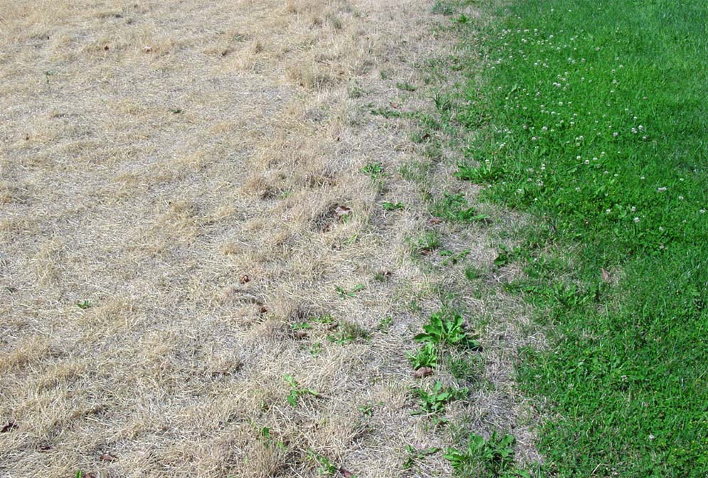 Photography by mysterio for DesignCrowd (Community Contests) | Design #9079609