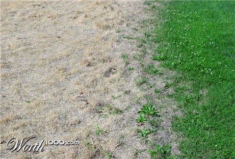 Photography by mysterio