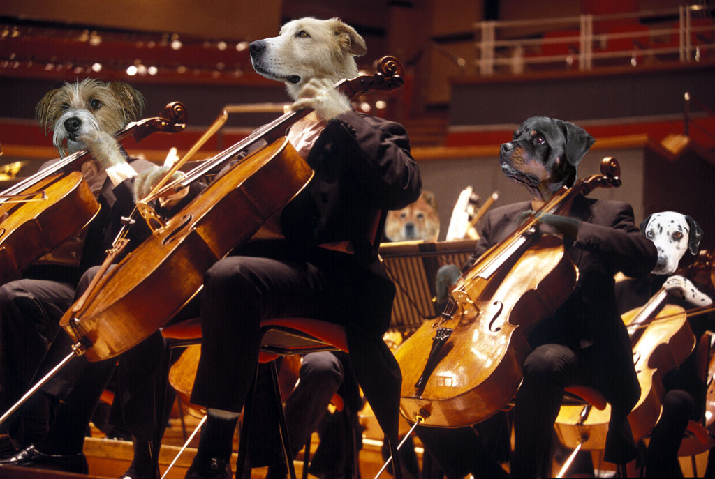 Photoshop Design by ewarning for DesignCrowd (Community Contests) | Design #9072925