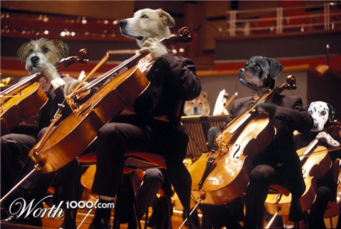 Photoshop Design by ewarning