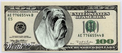 Photoshop Design by pezzer66