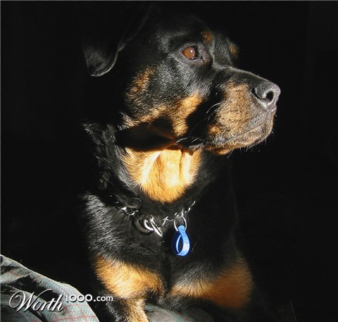 Photography by Tigastrophe