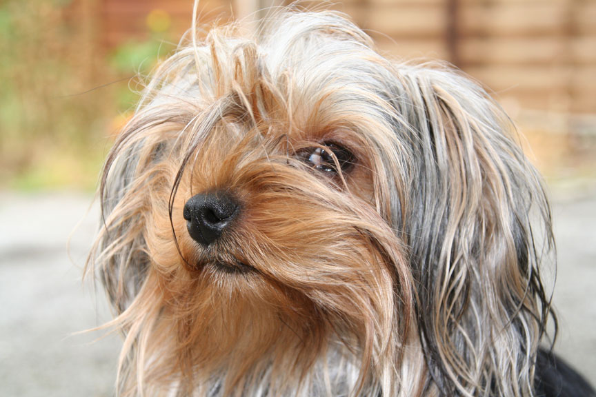 Photographie par Alnath pour DesignCrowd (Community Contests) | Design #9080617