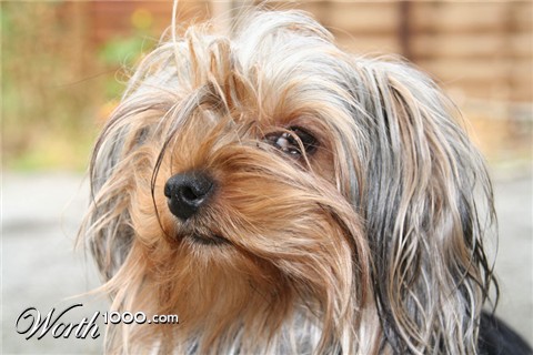 Photography by Alnath