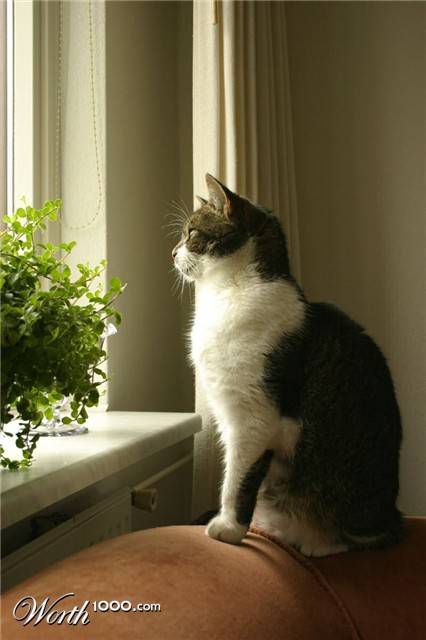 Photography by DoggySpew