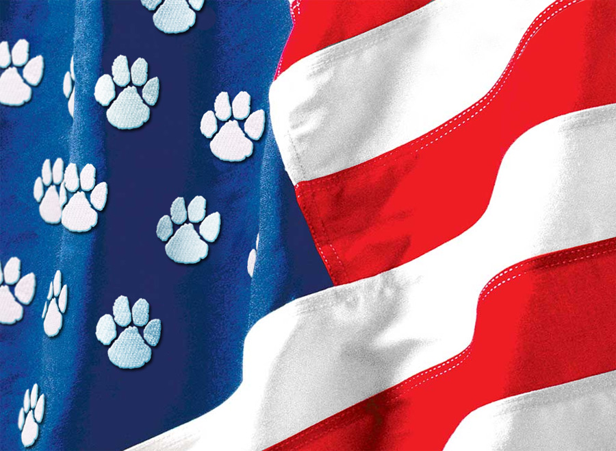 Design Photoshop par ginger82 pour DesignCrowd (Community Contests) | Design #9072983