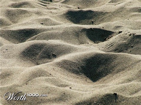 Photography by ginscambia