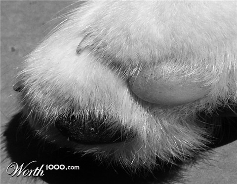 Photography by ginscambia