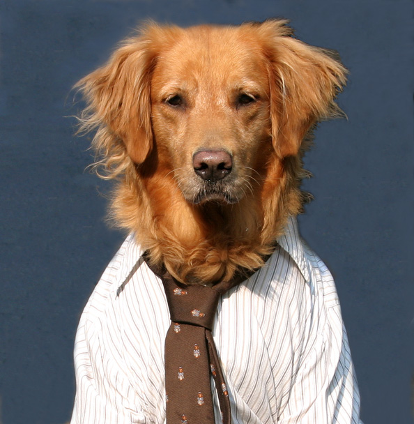 Photography by LADPUPMOE for DesignCrowd (Community Contests) | Design #9080658