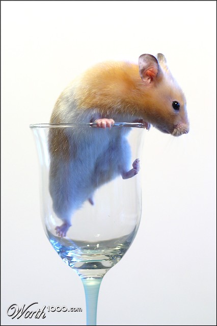 Photography by SigloV