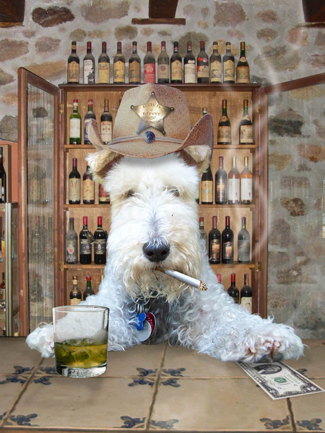 Photoshop Design by Skorpion for DesignCrowd (Community Contests) | Design #9073030