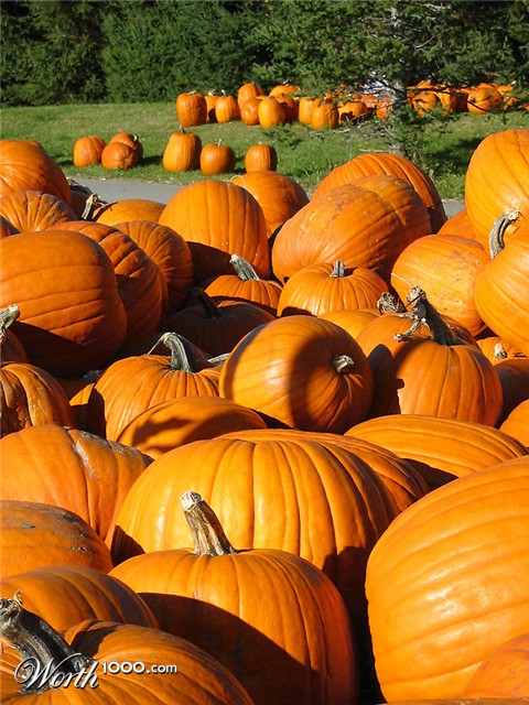 Photography by SigloV