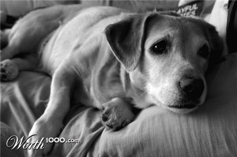 Photography by wiggster