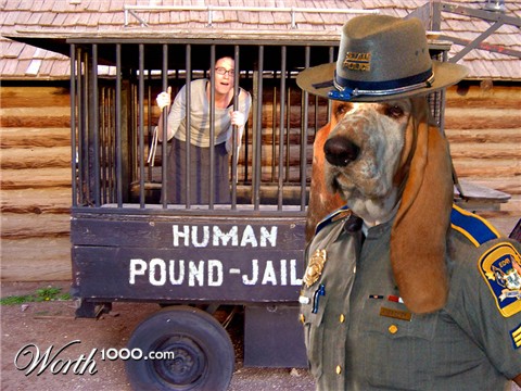 Photoshop Design by Koosricardo