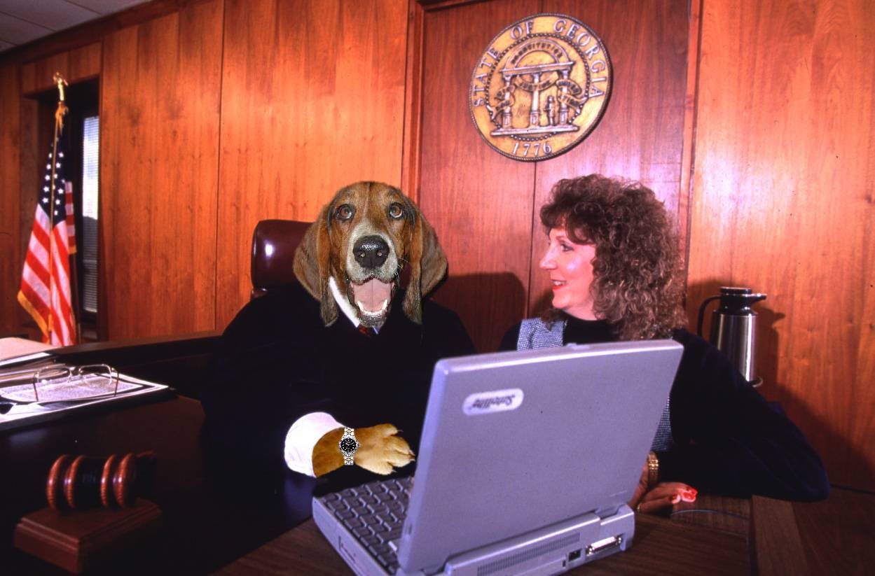 Submission for 'If Dogs Ruled 3' Contest Design 9073040