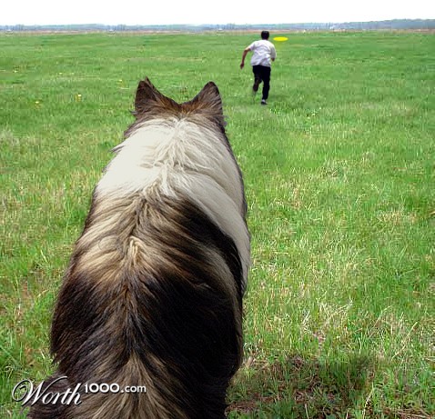 Photoshop Design by StrangeWorld