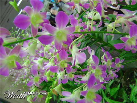 Photography by easwar123