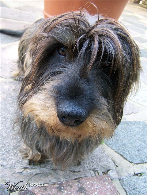 Photography by TotalDomination