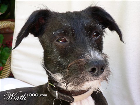 Photography by jandreu