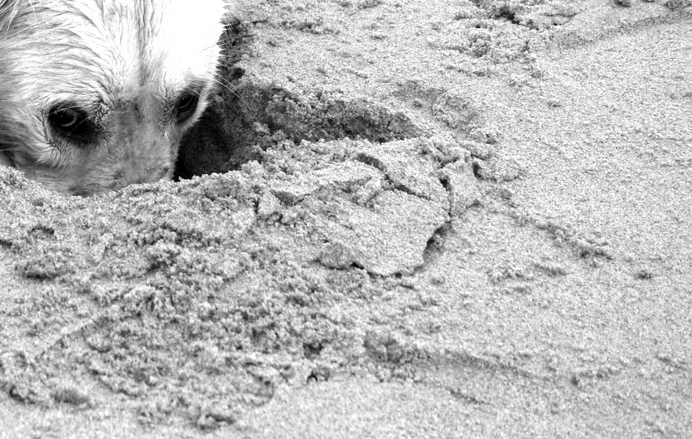 Photography by Sutebe for DesignCrowd (Community Contests) | Design #9074175