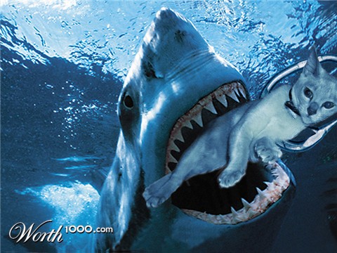 Photoshop Design by Evilwabbit