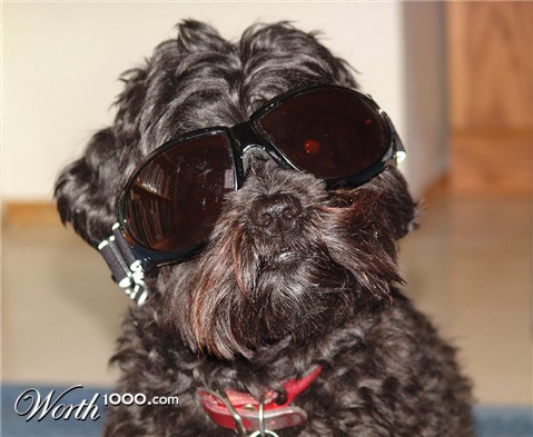 Photography by whlutz