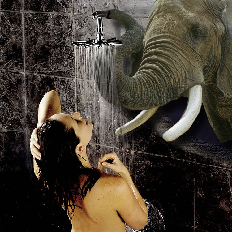 Photoshop Design by fresh2death for DesignCrowd (Community Contests) | Design #9075237