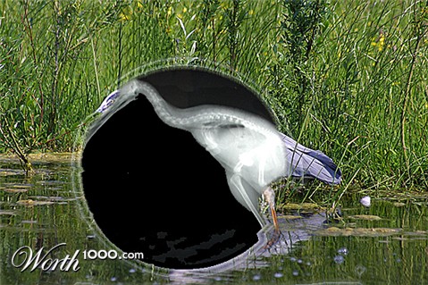 Photoshop Design by Flexodus