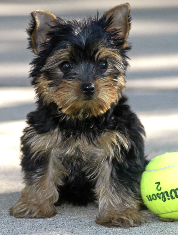 Photography by Fishcat for DesignCrowd (Community Contests) | Design #9080786