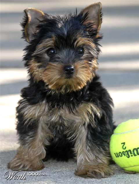 Photography by Fishcat