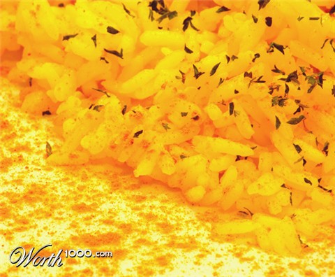 Photography by kimbomac