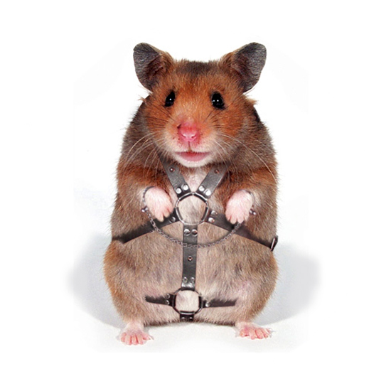 Photoshop-Design von flaebehop für DesignCrowd (Community Contests) | Design #9075275