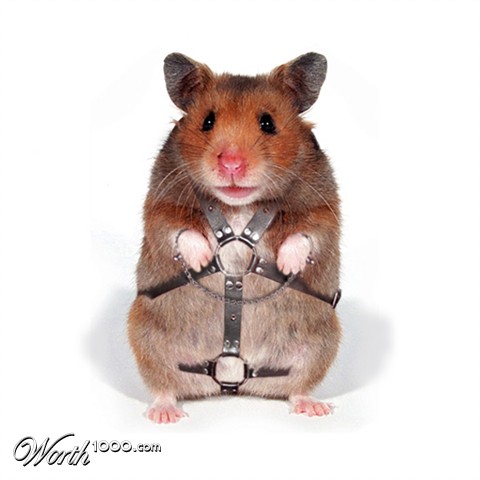 Photoshop Design by flaebehop