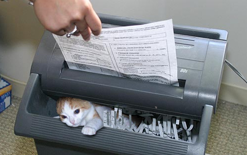 Design Photoshop par ginger82 pour DesignCrowd (Community Contests) | Design #9075278