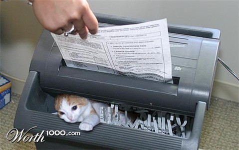 Photoshop Design by ginger82