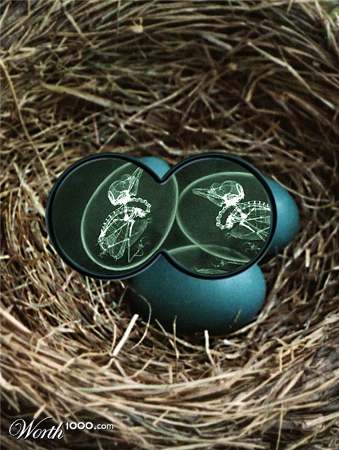 Photoshop Design by Nicky666