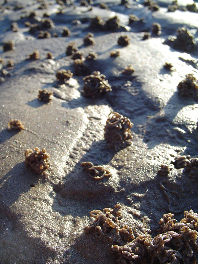 Photography by Flibble for DesignCrowd (Community Contests) | Design #9078908