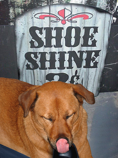 Photoshop Design by Ph0t0sHoPp3r for DesignCrowd (Community Contests) | Design #9075276