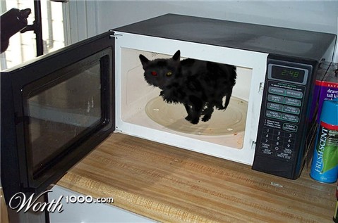 Photoshop Design by JuzzyDee