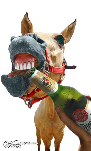 Photoshop Design by Dziedzic