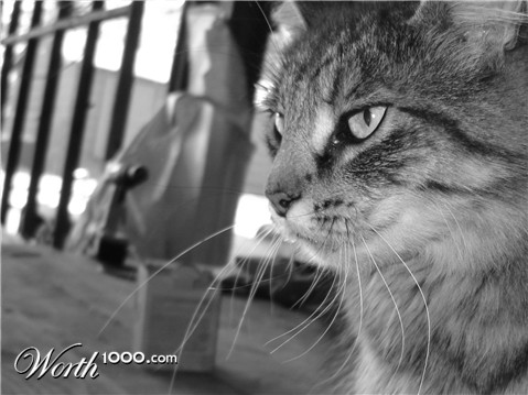 Photography by isaiasx69