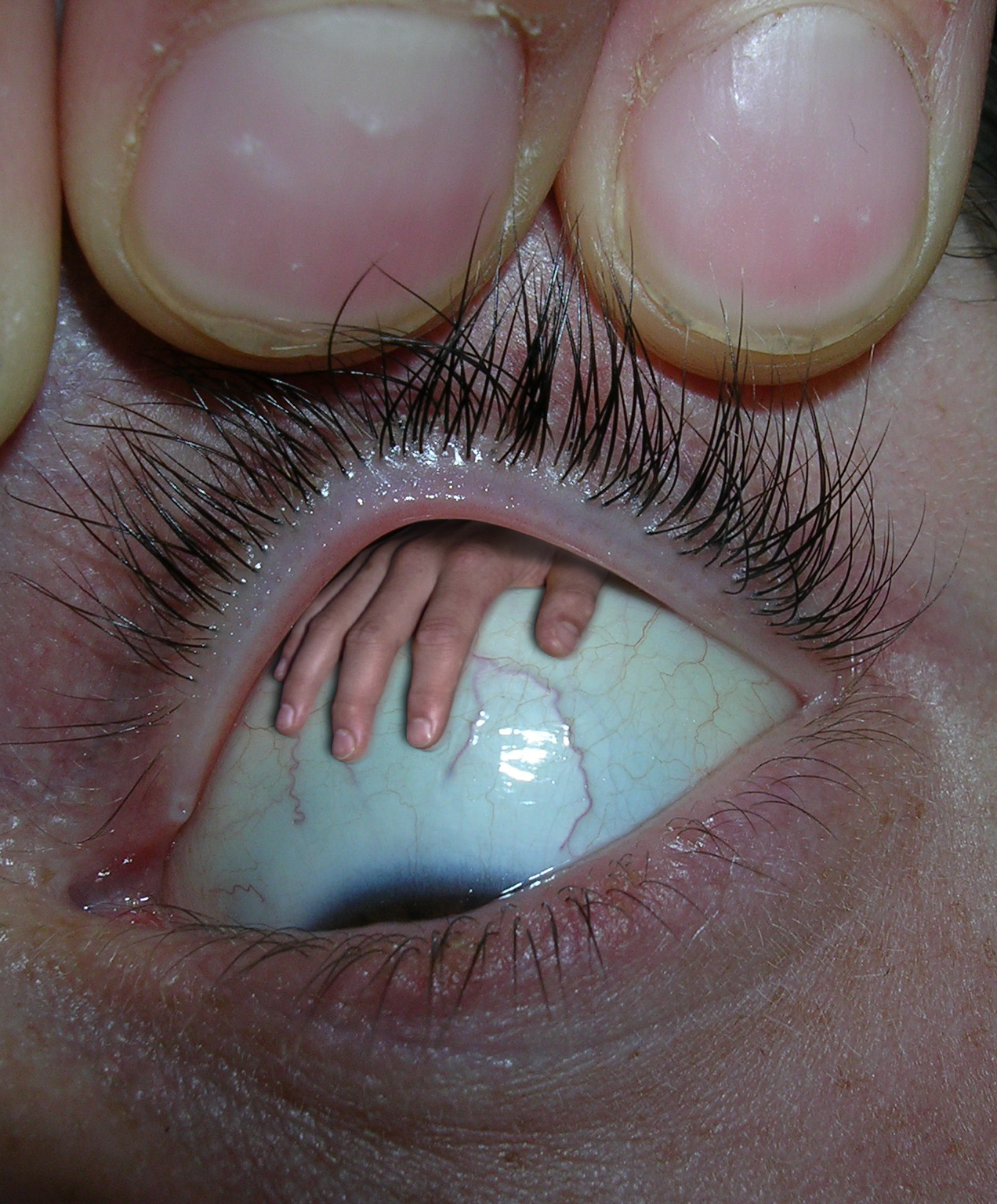 Photoshop Design by rafvdv for DesignCrowd (Community Contests) | Design #9074638