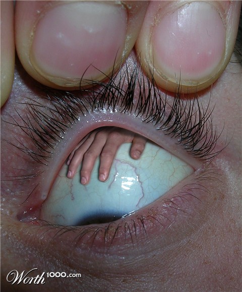 Photoshop Design by rafvdv