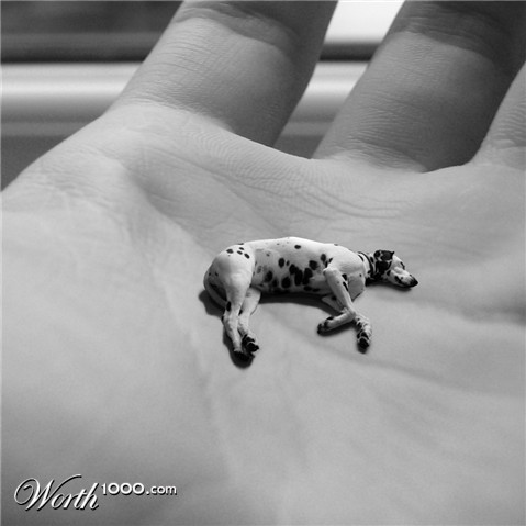 Photoshop Design by Aurorae