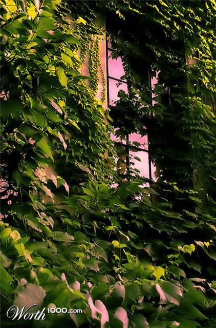 Photography by rwolosyn
